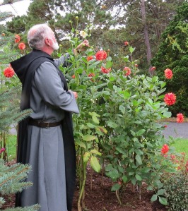 Monk in garden